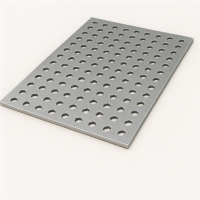 Лист перфорированный стальной Rv 2.0-3.5 0,7х1000х2000 мм 08пс ГОСТ Р 58602-2019